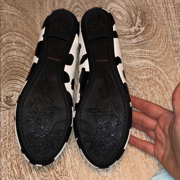 Cute to the core cow print shoes size 8 NIB black - Picture 2 of 3
